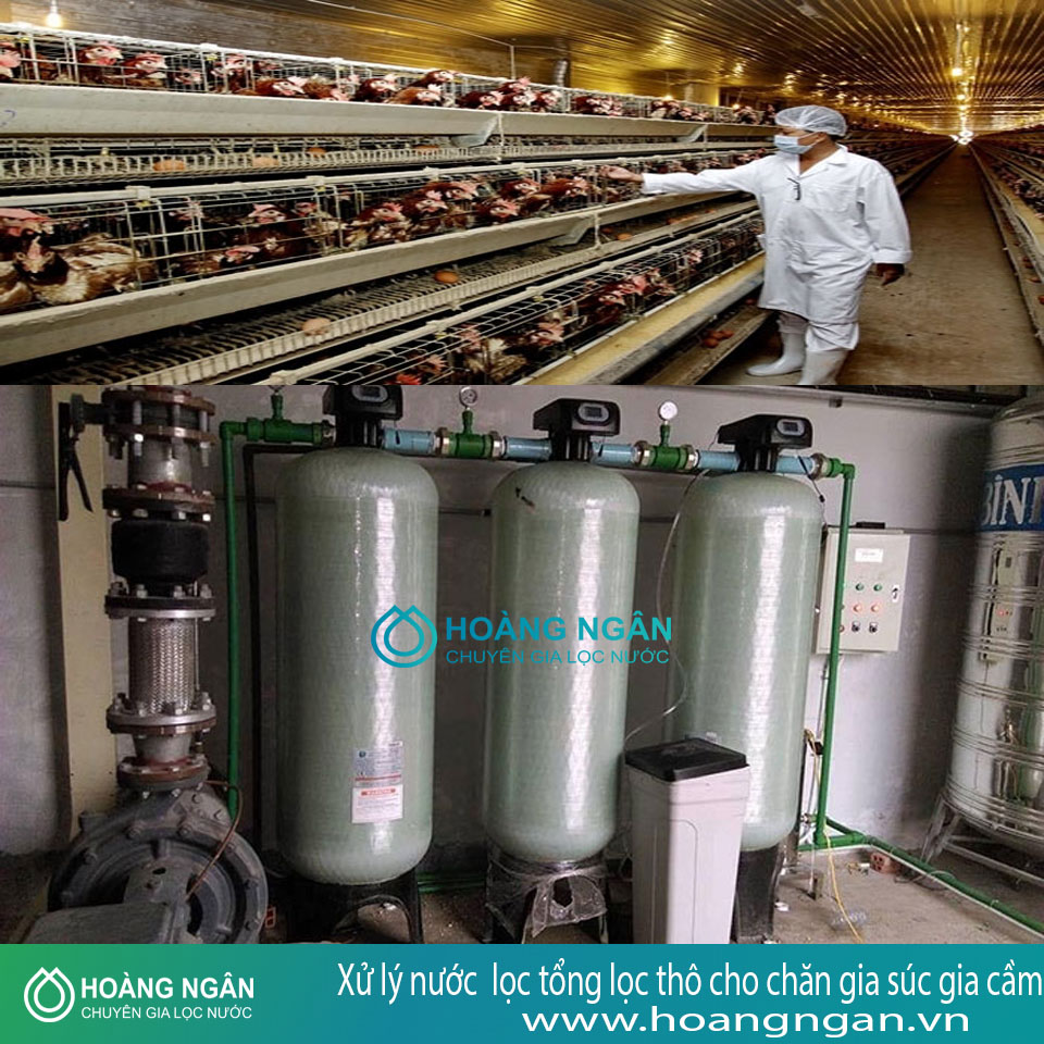Xử lý nước lọc tổng lọc thô cho chăn gia súc gia cầm