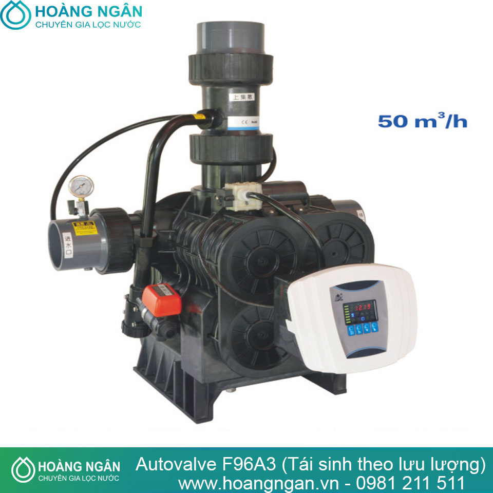 Autovalve F96A3 (Tái sinh theo lưu lượng) Autovalve F96A3 (Tái sinh theo lưu lượng)