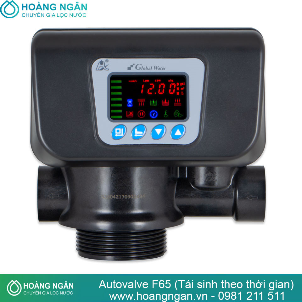 Autovalve F65 (Tái sinh theo thời gian) Autovalve F65 (Tái sinh theo thời gian)