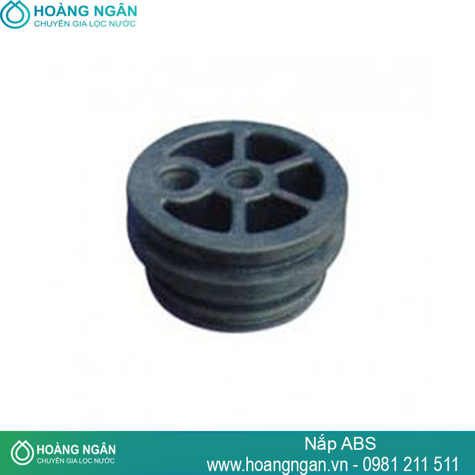 Nắp ABS Nắp ABS