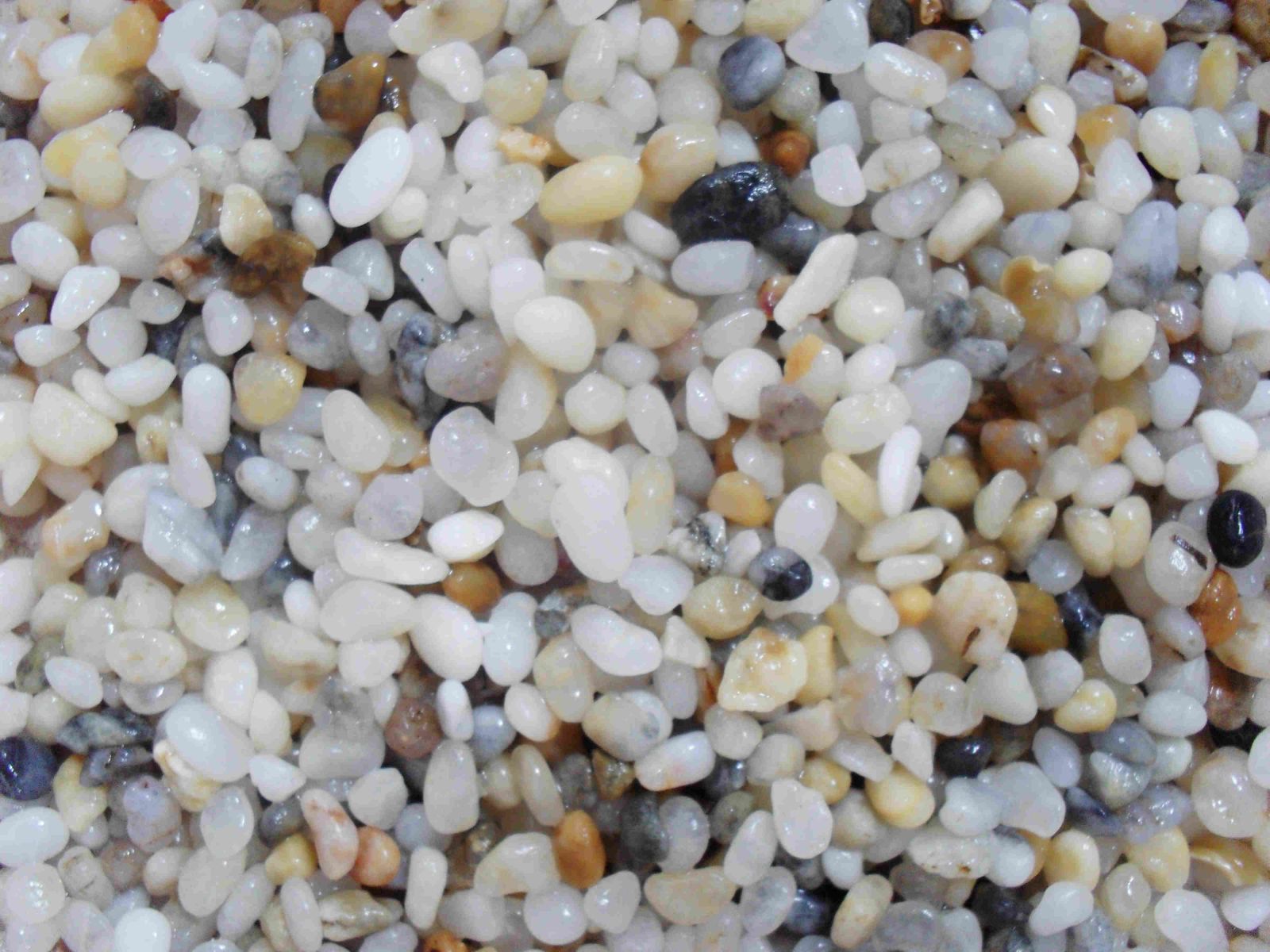 Sỏi thạch anh - STA Sỏi thạch anh - STA