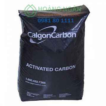 Than hoạt tính Calgon Carbsorb 40 - Mỹ Than hoạt tính Calgon Carbsorb 40 - Mỹ