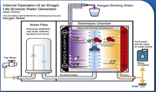 Báo giá máy lọc nước điện giải ion kiềm Kangen SD501 giá chính hãng